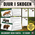 Produktbild för digitalt läromedel Djur i skogen med 12 bildkort, faktatexter, läsförståelse och facit i PDF-format för lågstadiet.