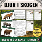 Produktbild för digitalt läromedel Djur i skogen med 12 bildkort, faktatexter, läsförståelse och facit i PDF-format för lågstadiet.