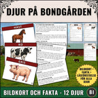 Djur på bondgården – Bildkort med fakta och läsförståelse