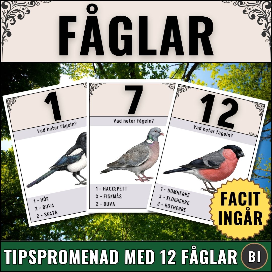 "Fåglar Tipspromenad" skapat av Magister Fabbri. Visar färdiga PDF-sidor med illustrationer av svenska fåglar och svarsalternativen 1, X, 2, samt en gul stjärna med texten "Facit ingår".