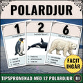 Omslagsbild för Magister Fabbris digitala skolmaterial: En tipspromenad i PDF-format om polardjur med 12 illustrerade frågekort samt tillhörande facit.