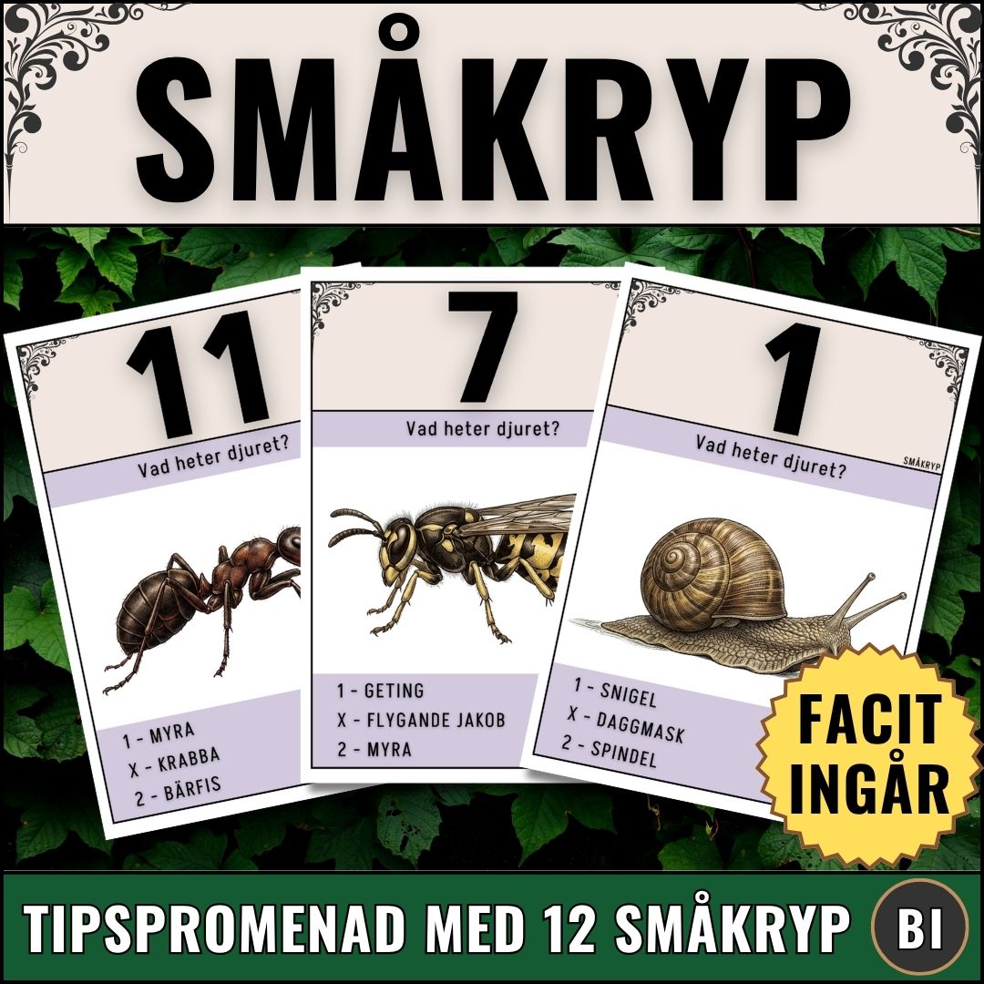 Omslagsbild för digitalt skolmaterial: Tipspromenad om småkryp med 12 illustrerade frågekort och facit, skapat av Magister Fabbri.