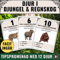 Pedagogisk tipspromenad med djur i djungel och regnskog. 12 djur med tydliga bilder som ledtrådar