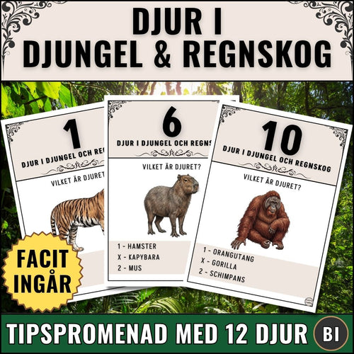 Pedagogisk tipspromenad med djur i djungel och regnskog. 12 djur med tydliga bilder som ledtrådar