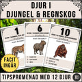 Tipspromenad med 12 djur från världens djungel och regnskogar