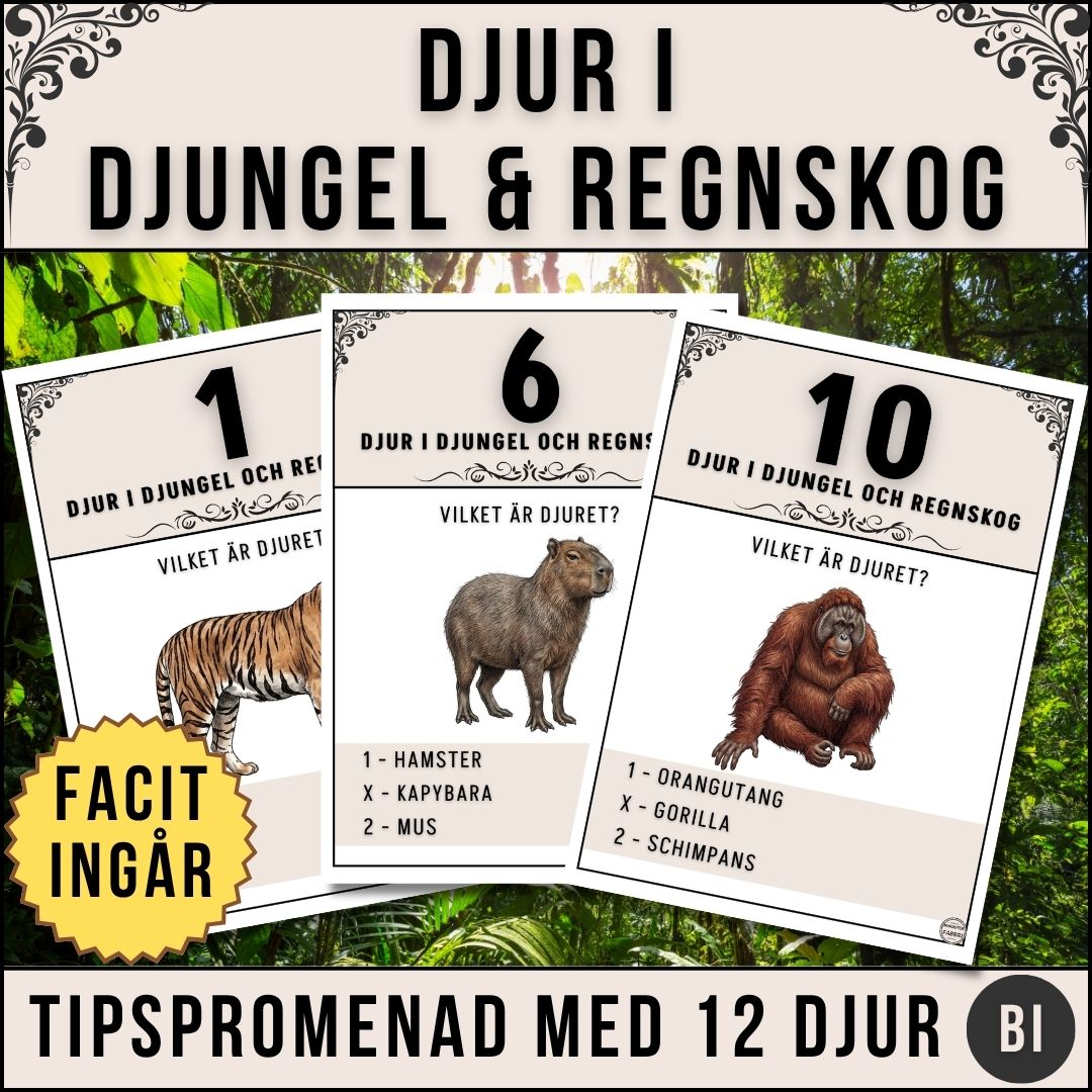 Tipspromenad med 12 djur från världens djungel och regnskogar