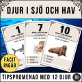 Djur i Sjö och Hav – Tipspromenad